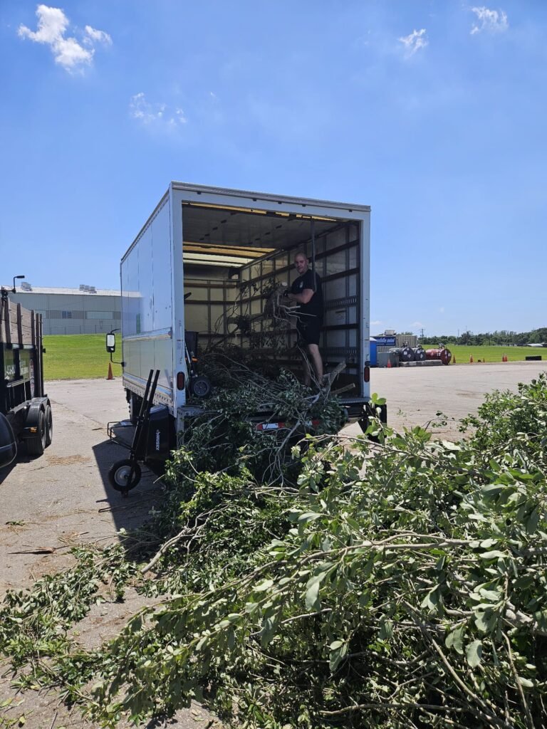 Landscaping Removal Carrollwood