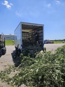 Yard Waste Removal St. Petersburg