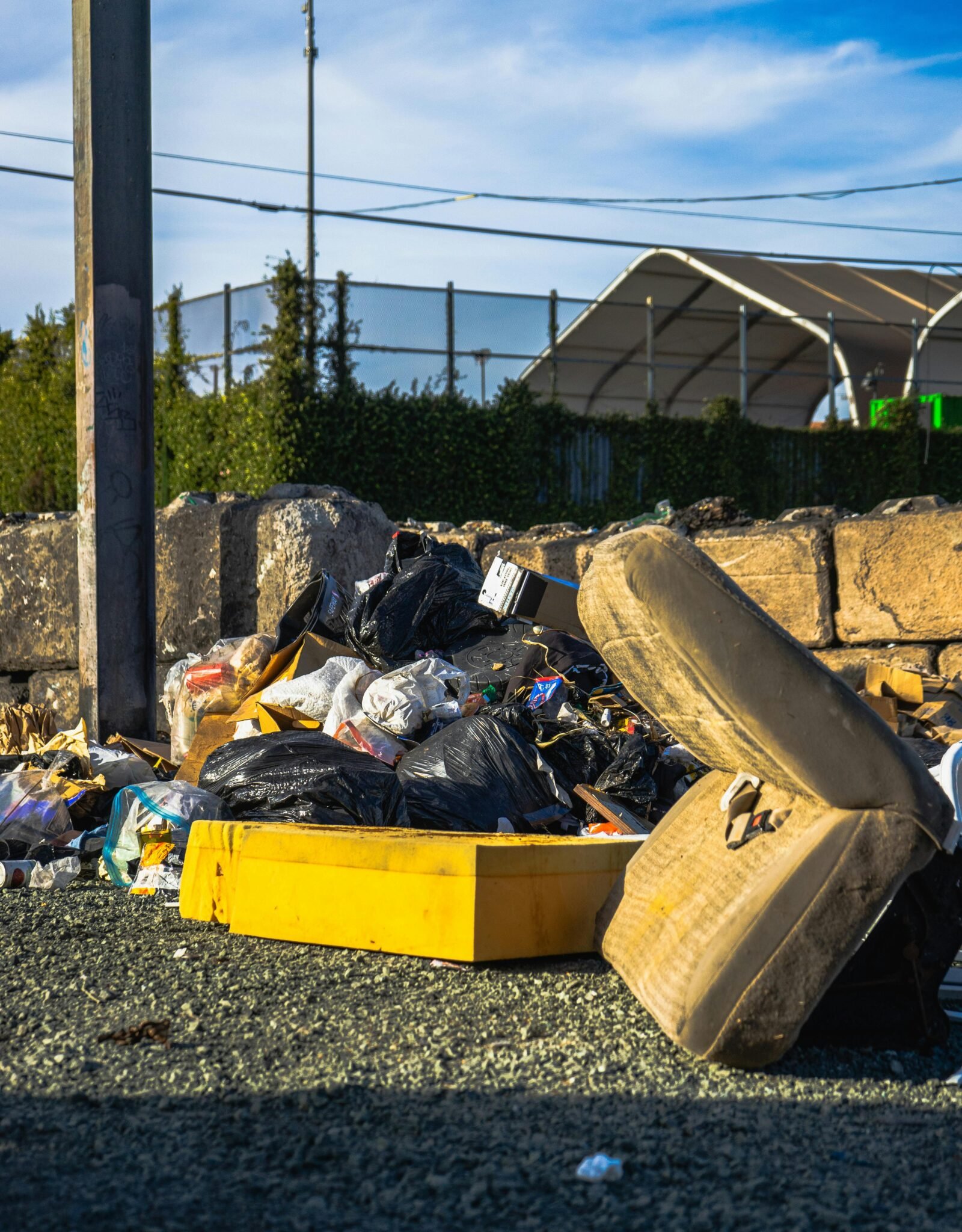 Hoarding Cleanup