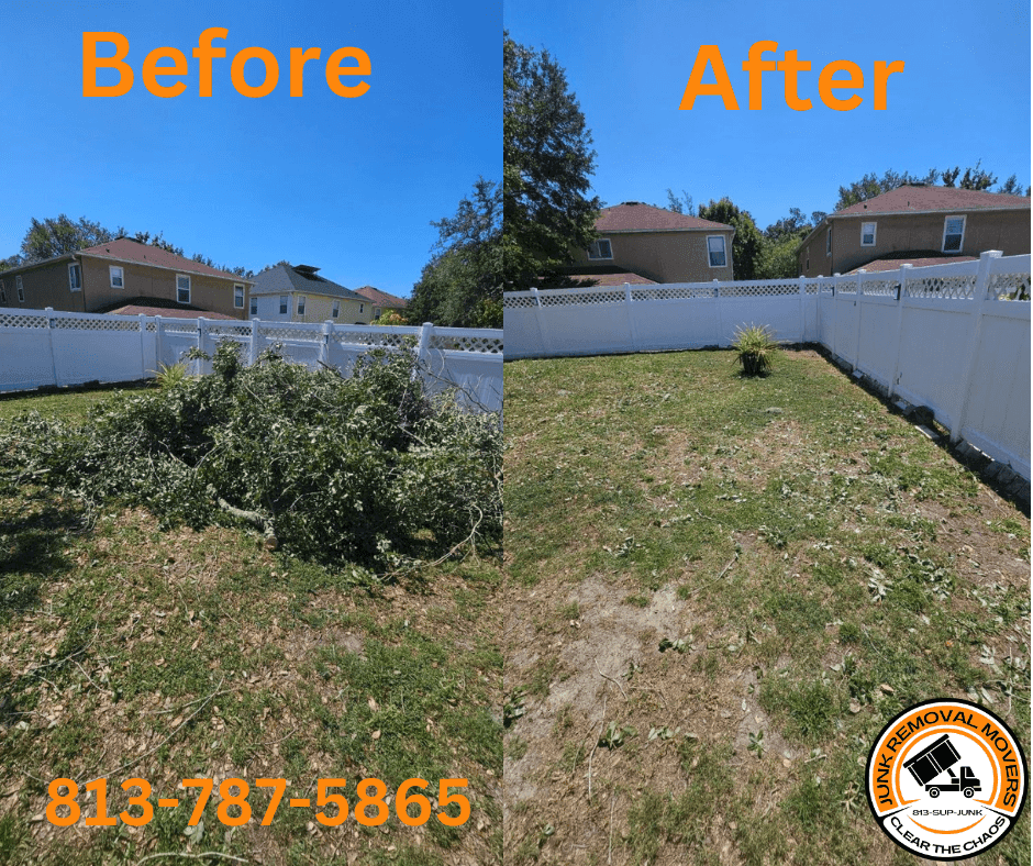 Yard Debris Removal Oldsmar