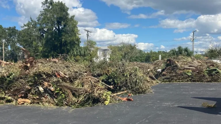 Yard and storm debris removal in Tampa