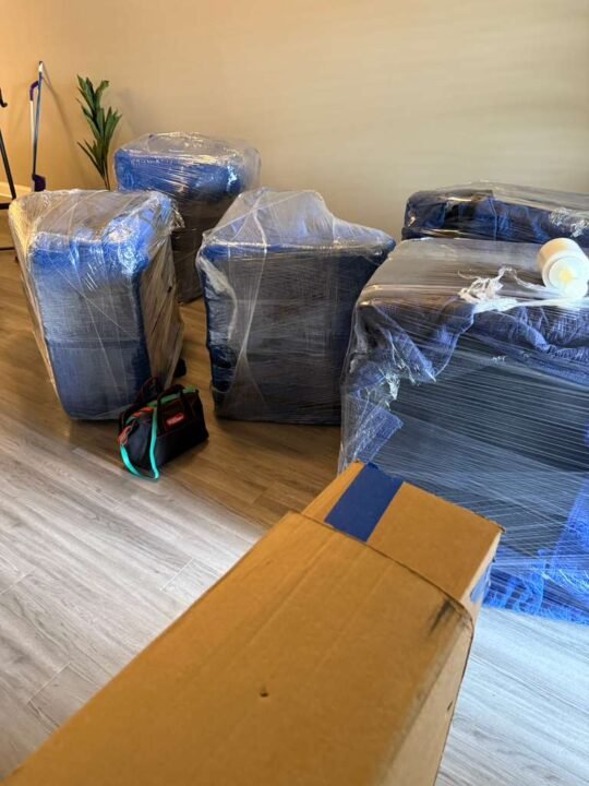 moving services tampa