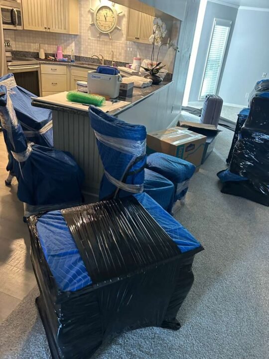 moving services tampa