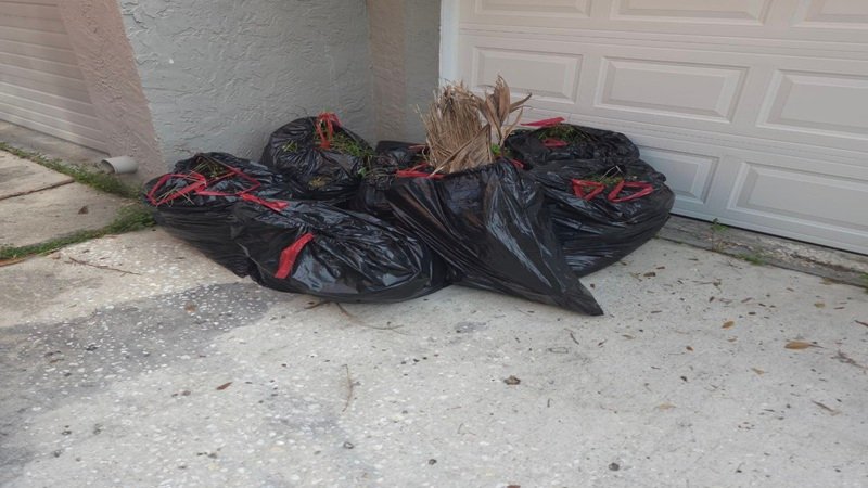 Garage Cleanouts Tampa