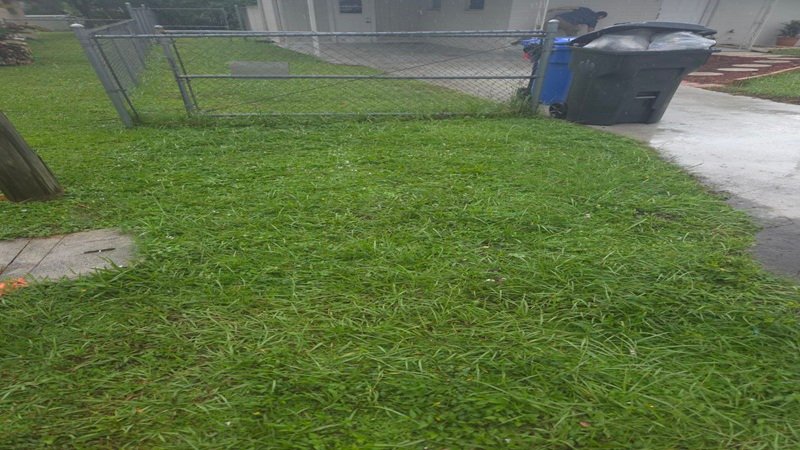 Commercial Junk Removal